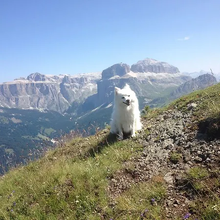 Wellness Lupo Bianco 4*