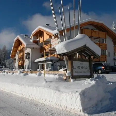 Wellness Lupo Bianco Szálloda Canazei