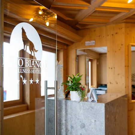 Wellness Lupo Bianco 4* Canazei