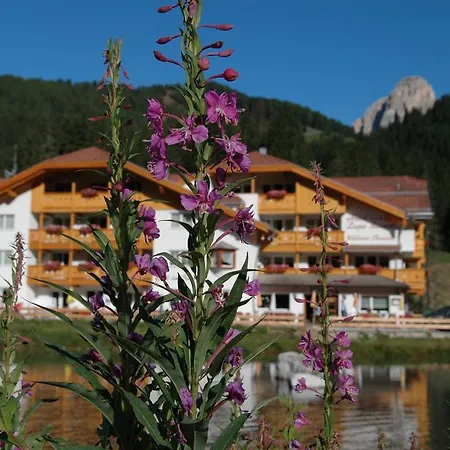 Wellness Lupo Bianco Hotel 4*