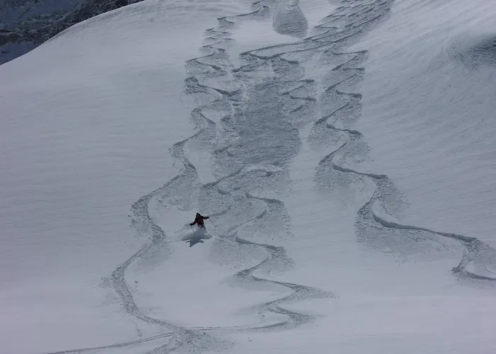 Hotel Wellness Lupo Bianco