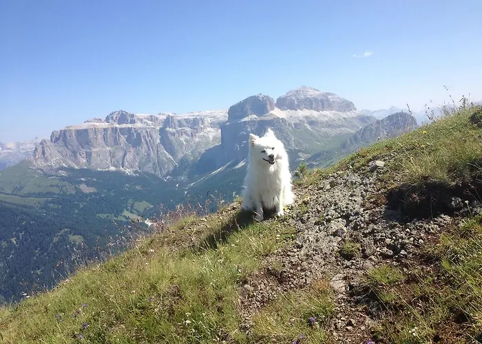 Wellness Lupo Bianco 4*