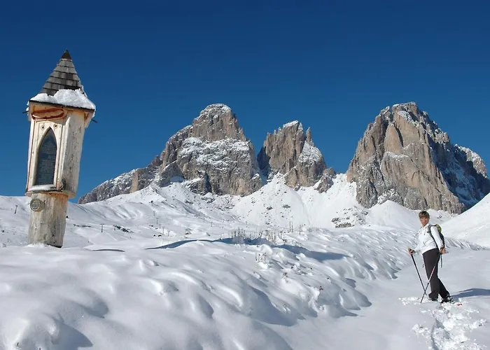 Wellness Lupo Bianco 4* Canazei