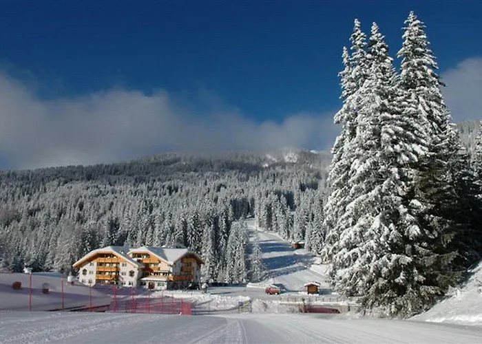 Wellness Lupo Bianco