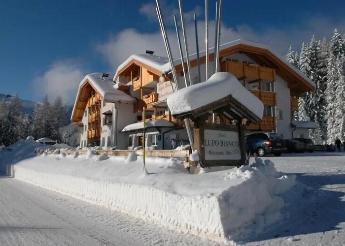 Wellness Lupo Bianco Hotel Canazei