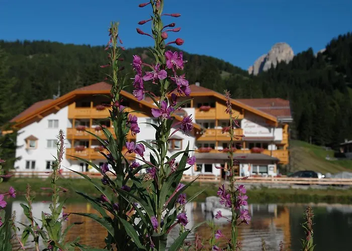 Wellness Lupo Bianco Szálloda 4*