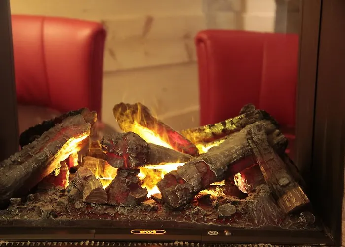 Wellness Lupo Bianco